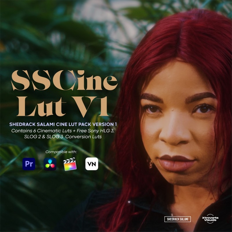 SSCine Lut pack v1