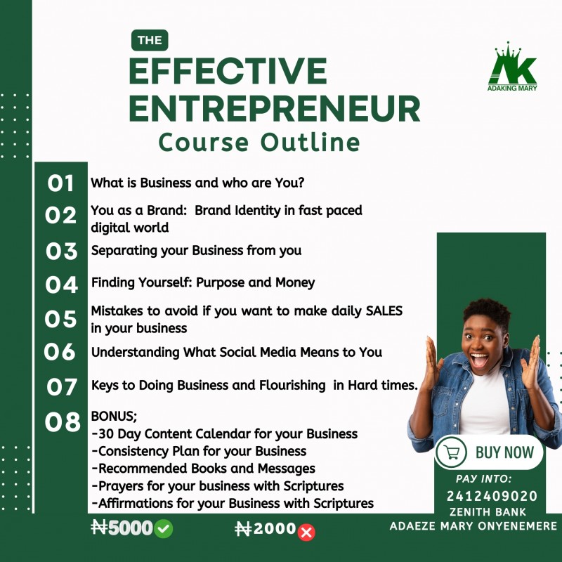 THE EFFECTIVE ENTREPRENEUR(COURSE)