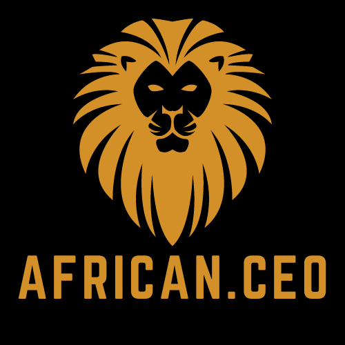 African CEO Launchpad 2024