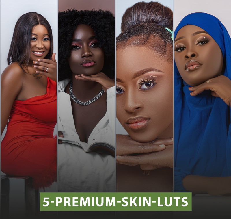 5-Premium-Skin-LUTs