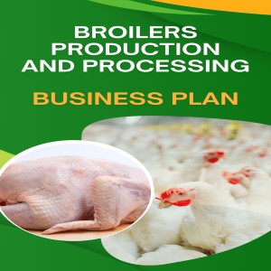 BROILERS FARMING AND PROCESSING READY MADE BUSINESS PLAN