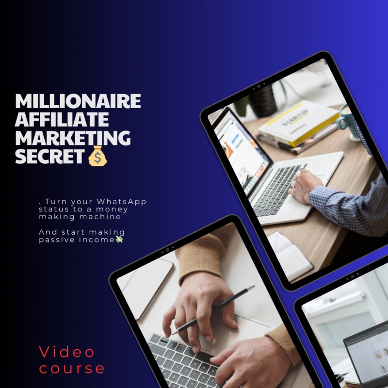Buy Affiliate marketing income Blueprint by Alex omoha on Selar