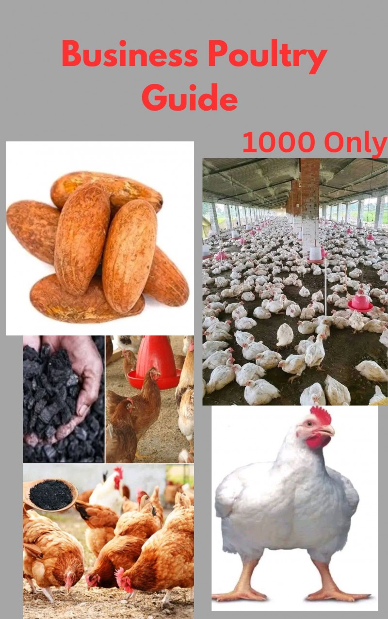 Poultry Guide Business