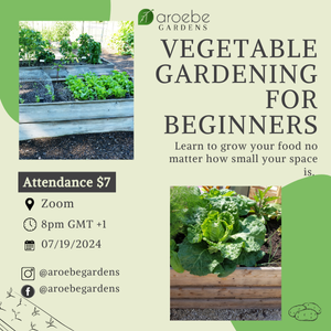 Vegetable Gardening for Beginners