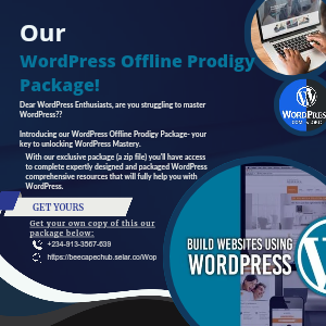 Our WordPress Prodigy Package