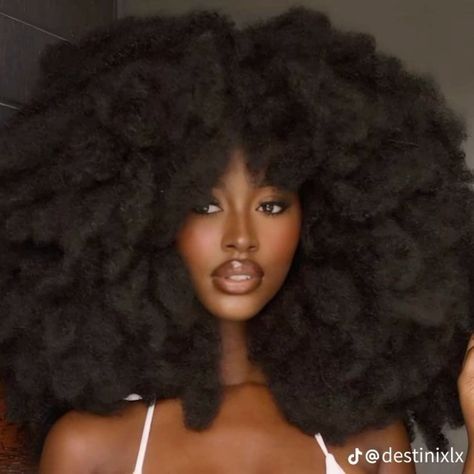 Maxi Zuri Afro 4c Kinky Wig