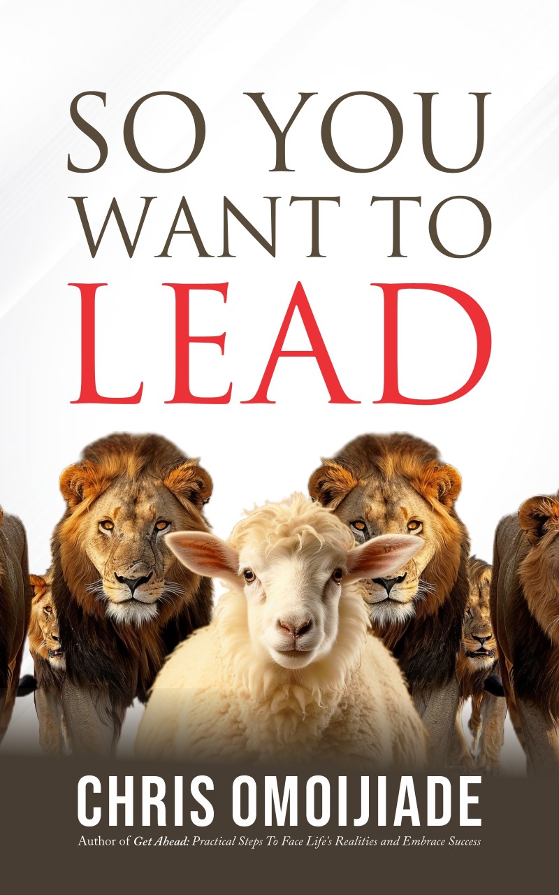 So You Want To Lead