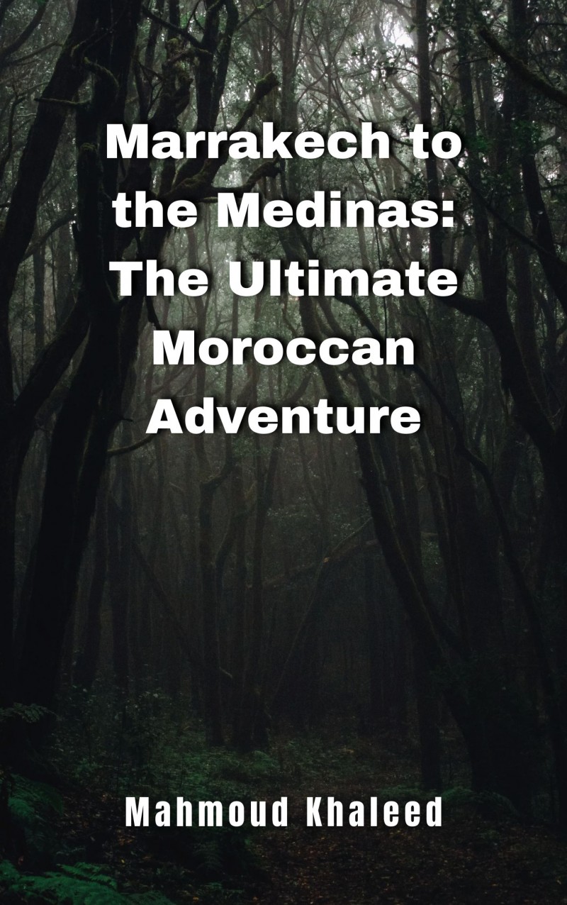 Marrakech to the Medinas: The Ultimate Morrocoan Adventure