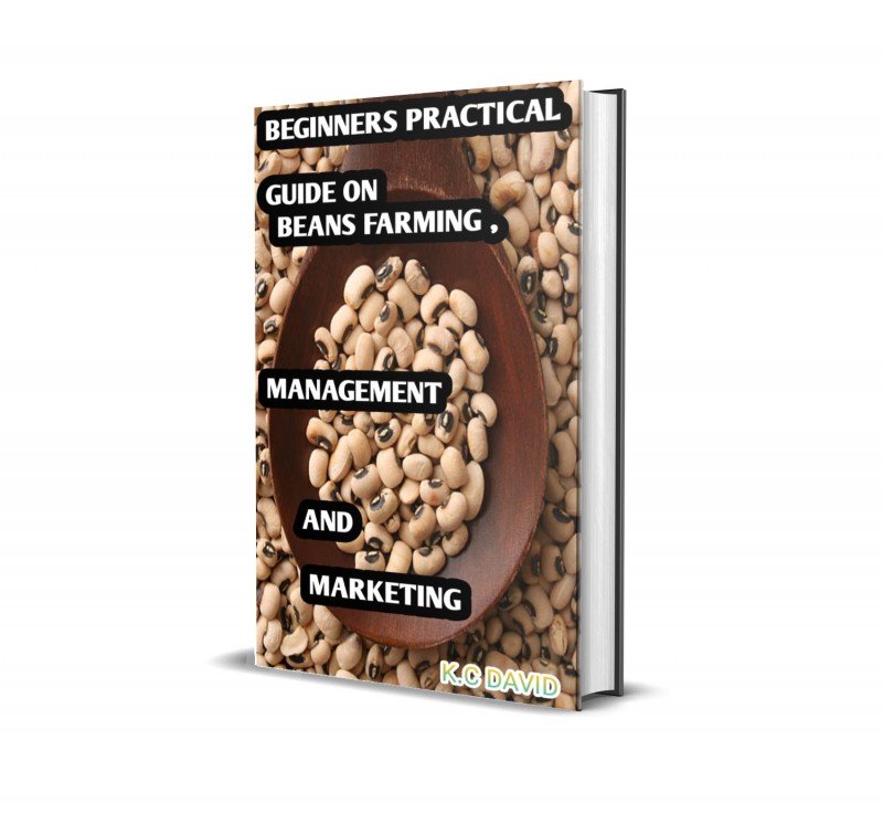 Buy BEGINNERS PRACTICAL GUIDELINES ON BEANS PRODUCTION, MANAGEMENT AND ...