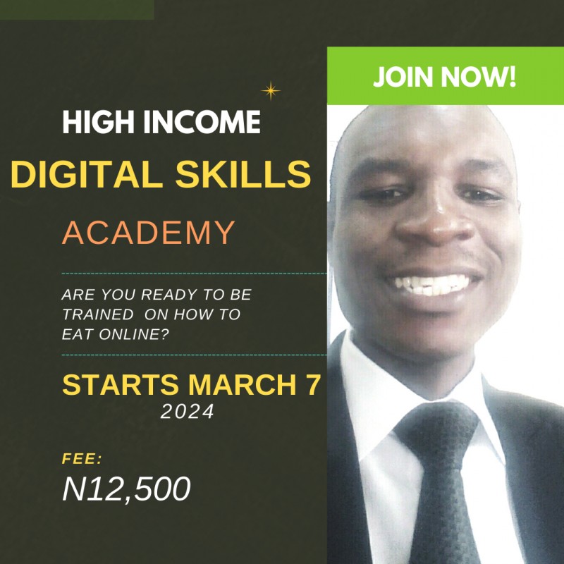 High Income Digital Skills Academy