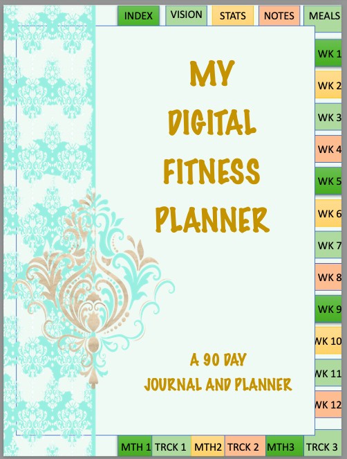 THE AMBITION AND BALANCE DIGITAL PLANNER PACK