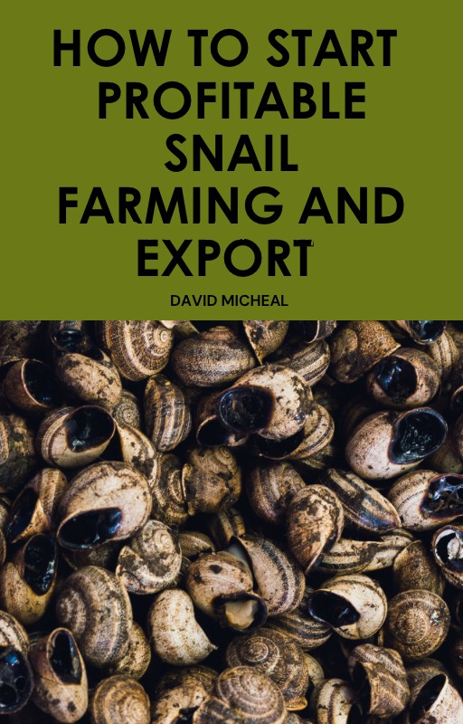 How to start a profitable snail farming and export