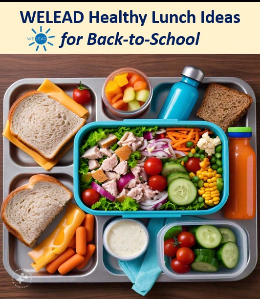get-welead-healthy-school-lunch-timetable-bts-by-dayo-oladele-ilori-on