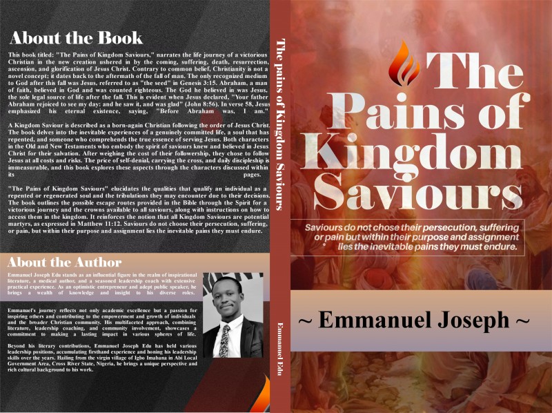The Pains of Kingdom Saviours