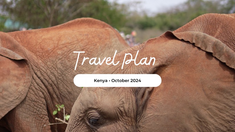 Travel Planning Service (Up to 10 Travellers)