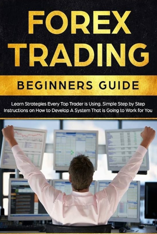 Beginner's Guide to trading