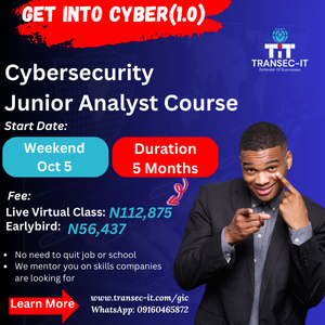 Junior Cyber Analyst Mentorship - GIC