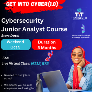 Junior Cyber Analyst Mentorship -Full