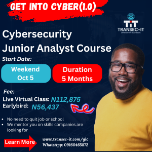 Junior Cybersecurity Analyst Mentorship -CAM