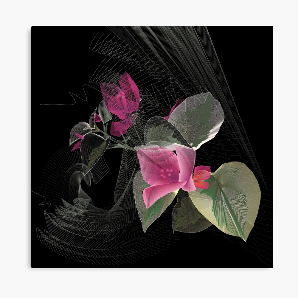 Bougainvillea Flower Original Stretched Canvas Art