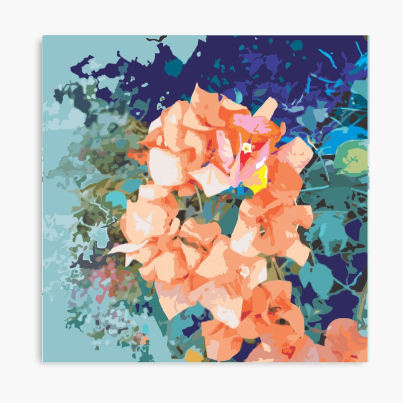 Peach Bougainvillea Flowers Stretched Canvas Art