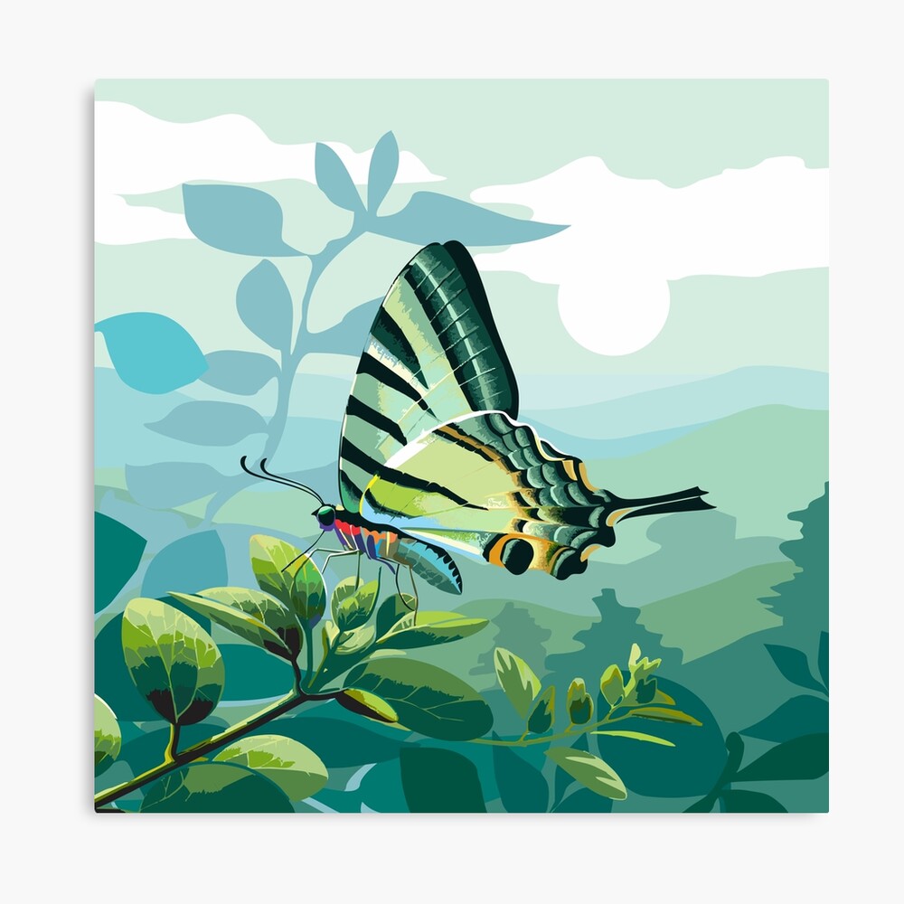 Sword-Tailed Butterfly Original Stretched Canvas Art