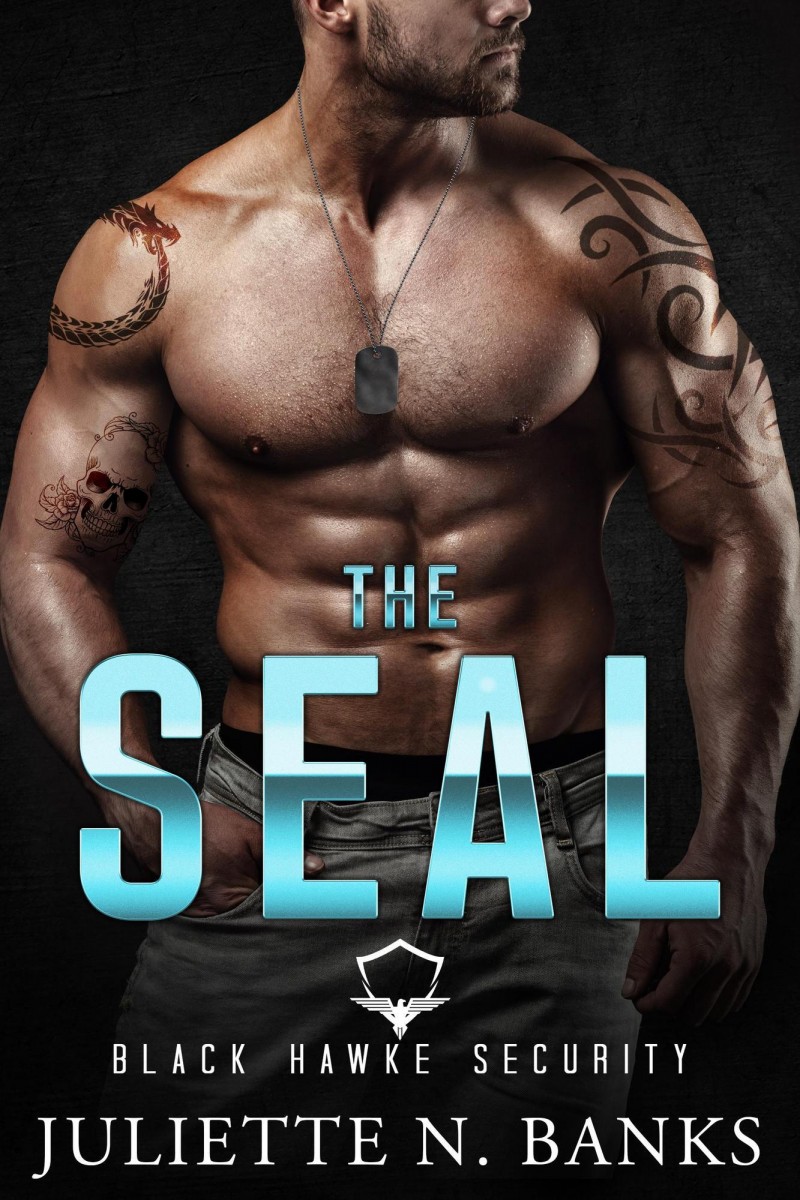The SEAL Series: Black Hawke Security, Book 1 Author: Juliette N. Banks