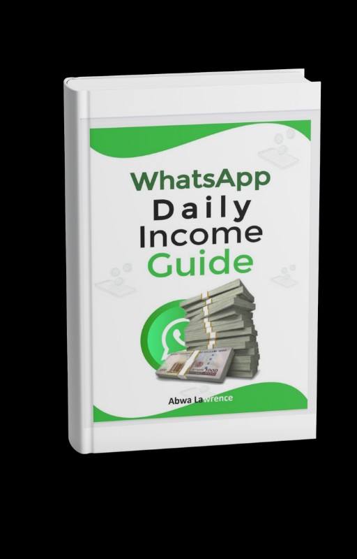 THE WHATSAPP DAILY INCOME GUIDE..