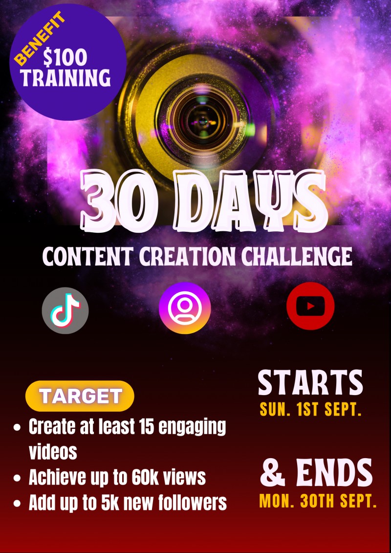 PRO CONTENT CREATION AND MONETISATION PROGRAMME