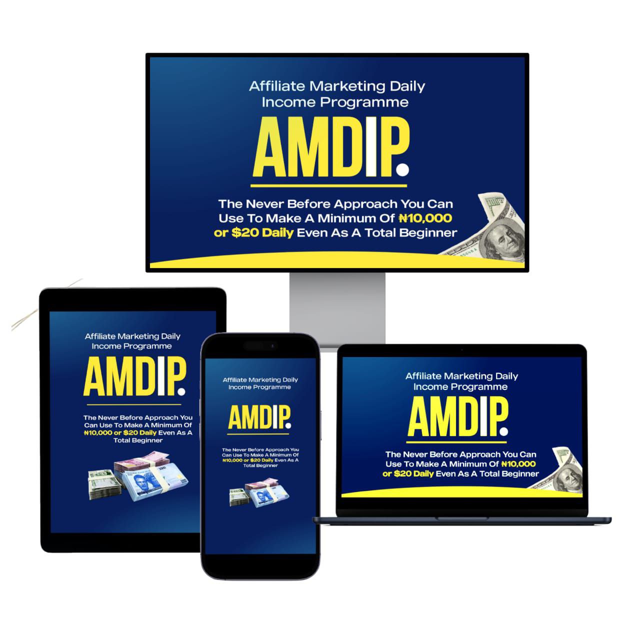 Affiliate Marketing Daily Income Program (AMDIP) with Coach John copy