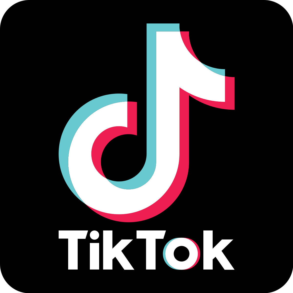 Tiktok guide