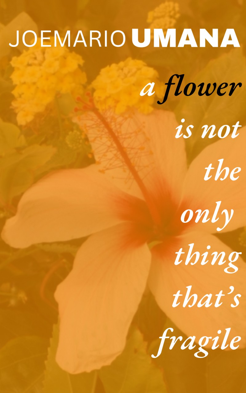 a flower is not the only thing that's fragile by JoeMario Umana
