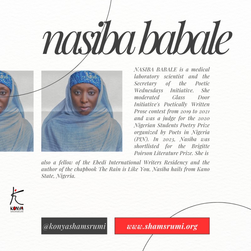 Pickled Moments by Nasiba Babale