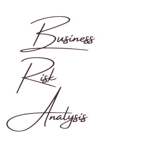 BUSINESS RISK ANALYSIS