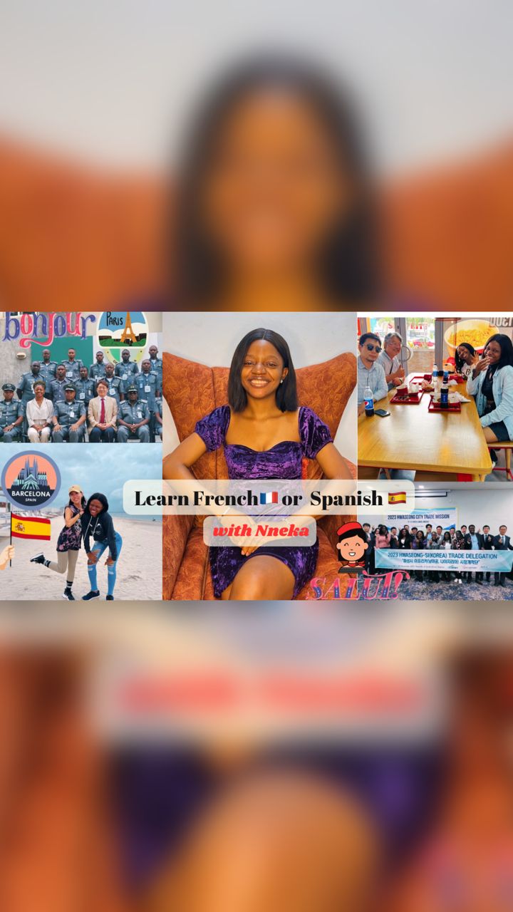 Buy French or Spanish Learning and Accountability Group by Nneka Nnanna ...