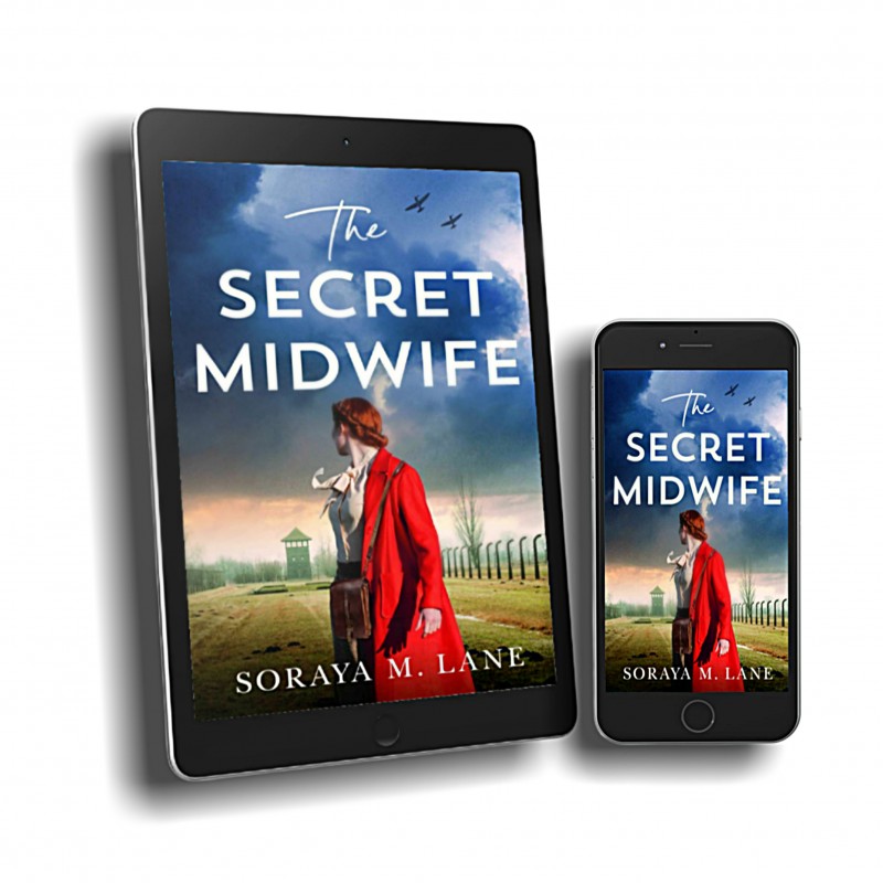 The Secret Midwife