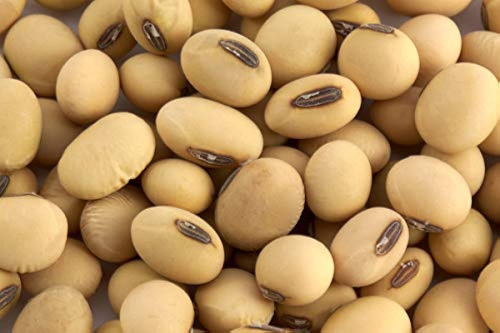Comprehensive Soyabean Processing Business Plan - Guide to Soyabean Processing and Export in Nigeria + Access Membership of International Food and Agro Business WhatsApp Group