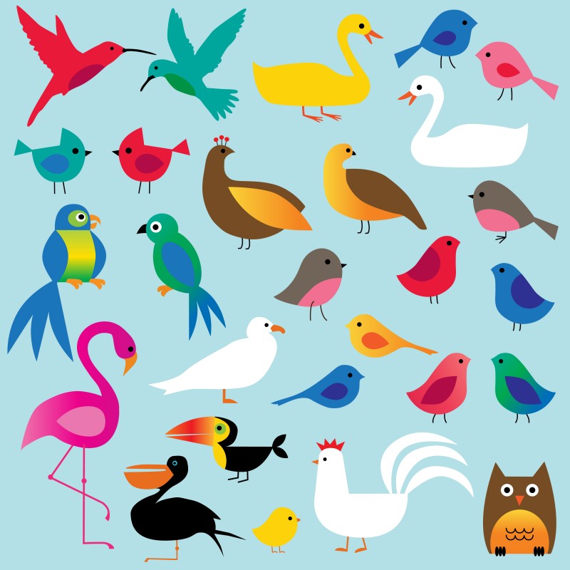 27 Birds Clipart
