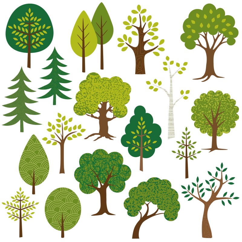 Tree Clipart Graphics Bundle