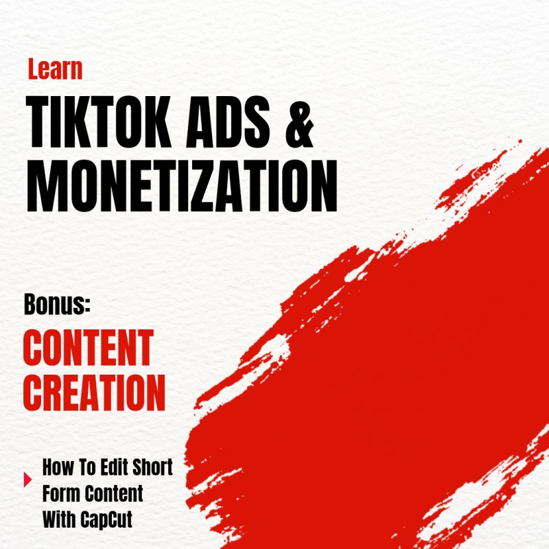 1200+ Premium Aesthetic Videos + TikTok Ad, Content Creation & Monetization