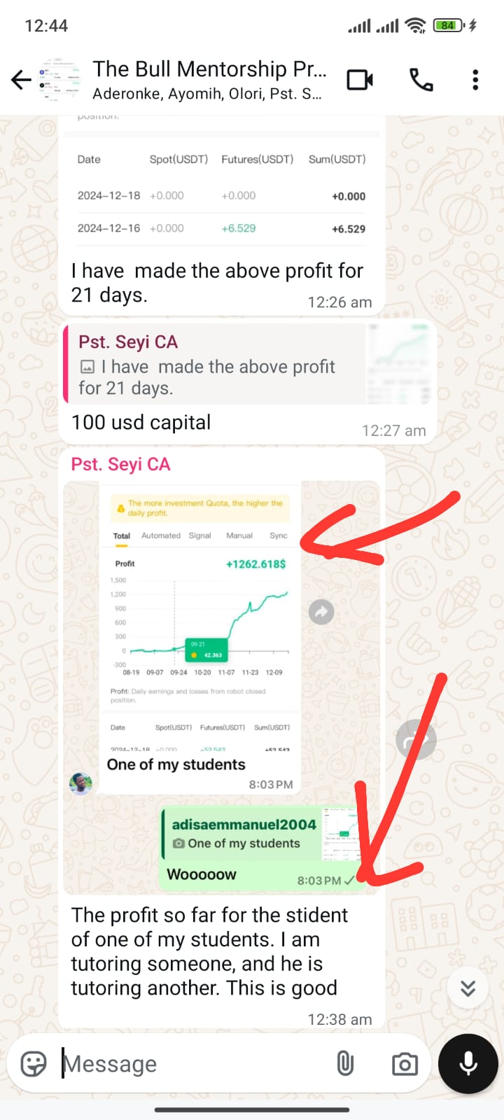 The BULL Mentorship Program