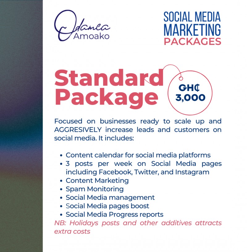 Social Media Management (Standard Package)