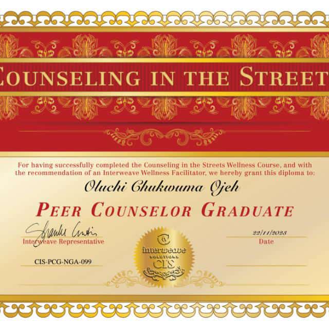 Counseling in the street course