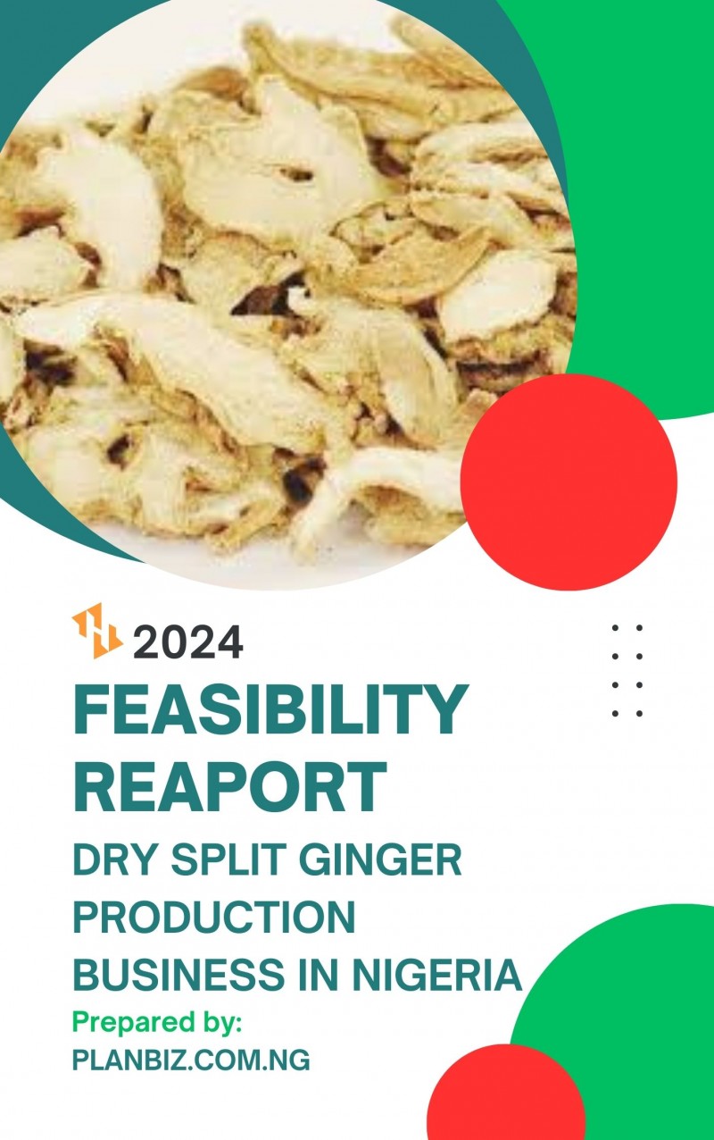 Feasibility Report For Dry Split Ginger Production