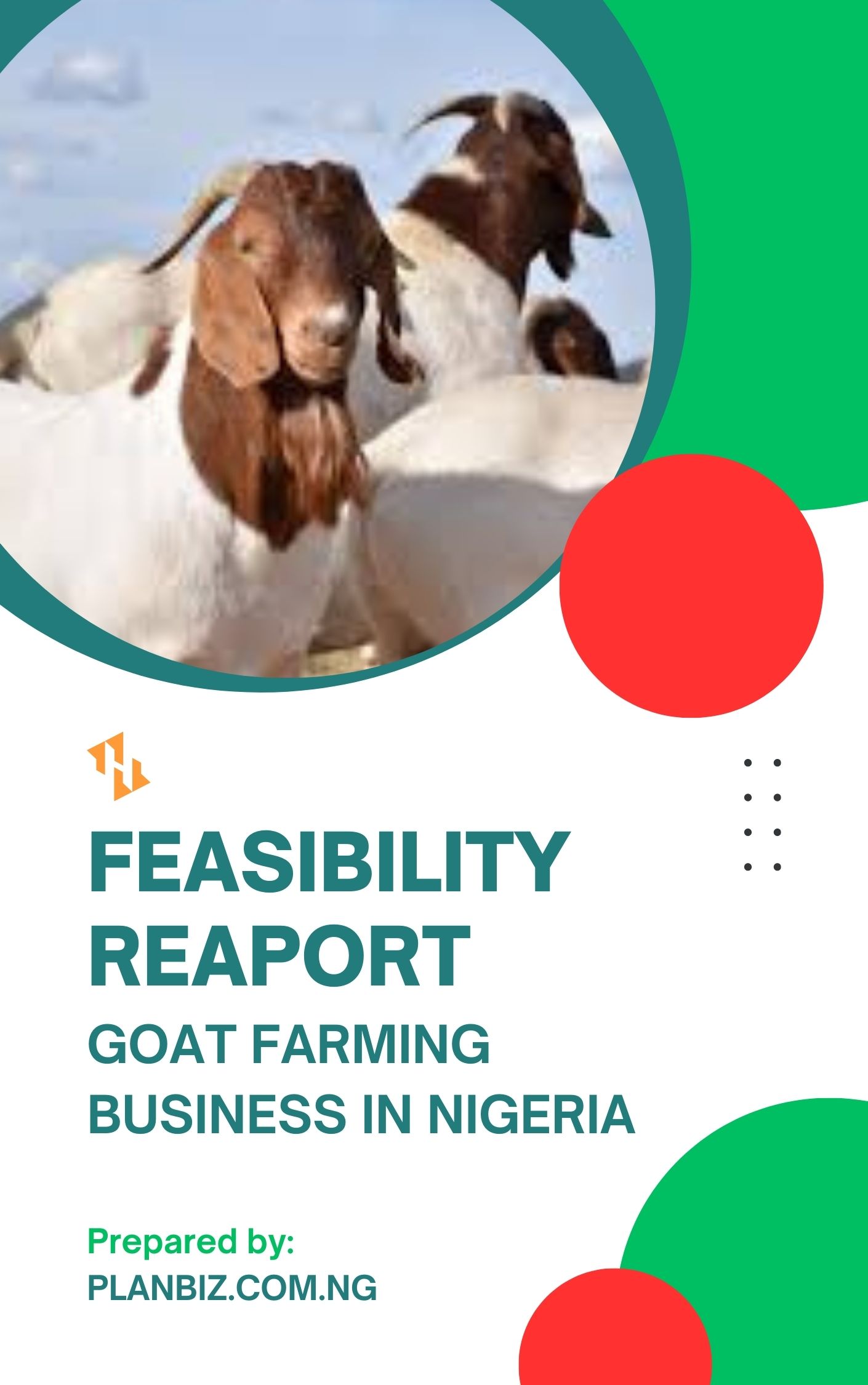 Feasibility Report For Goat Farming Business