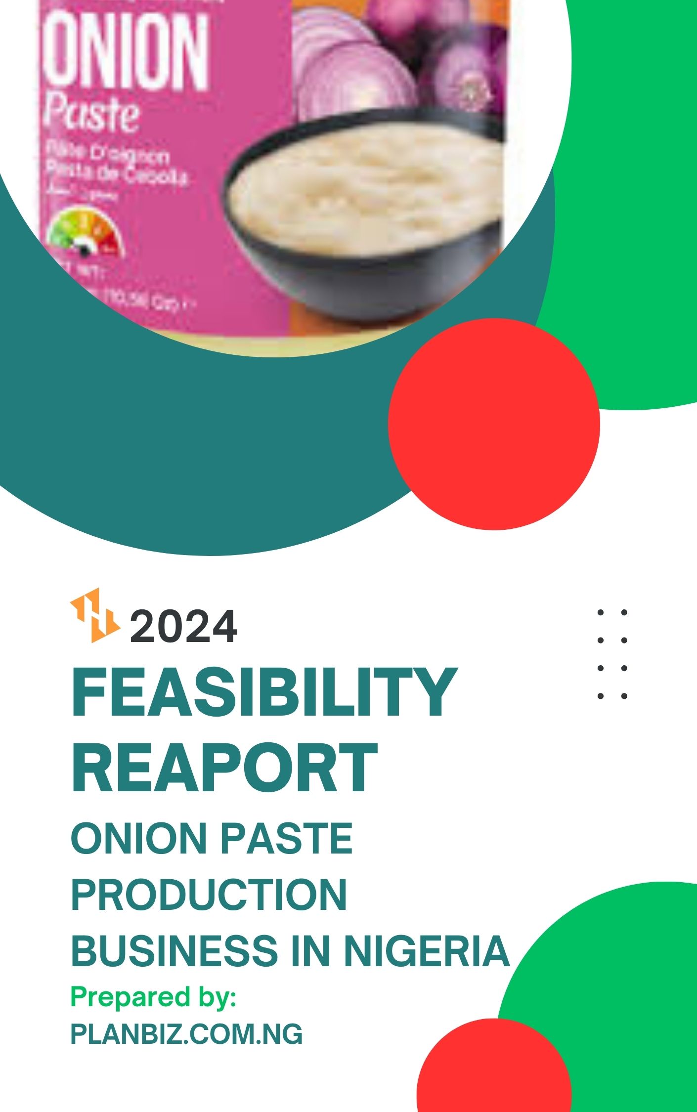Feasibility Report For Onion Paste Production