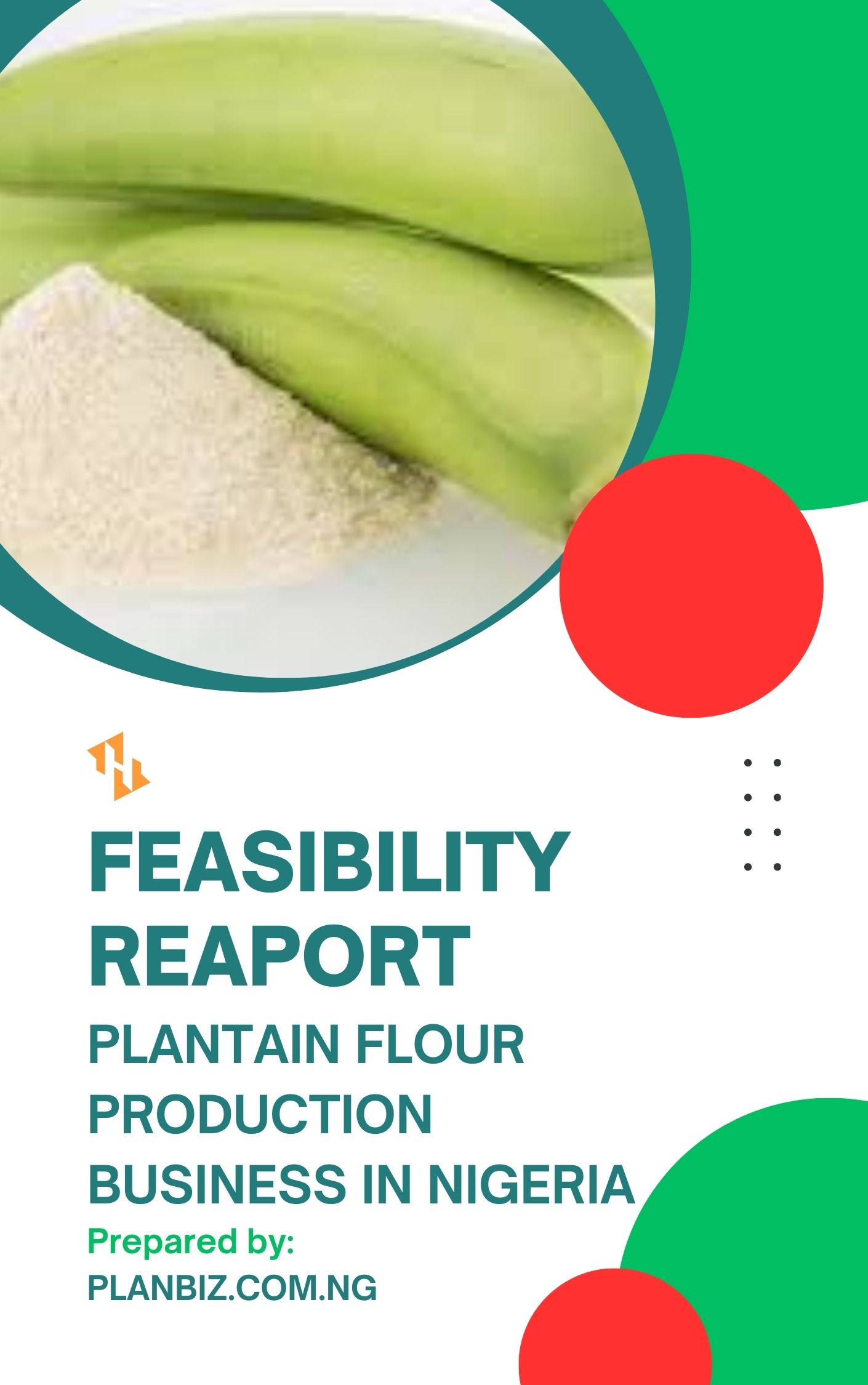 Feasibility Report For Plantain Flour Production
