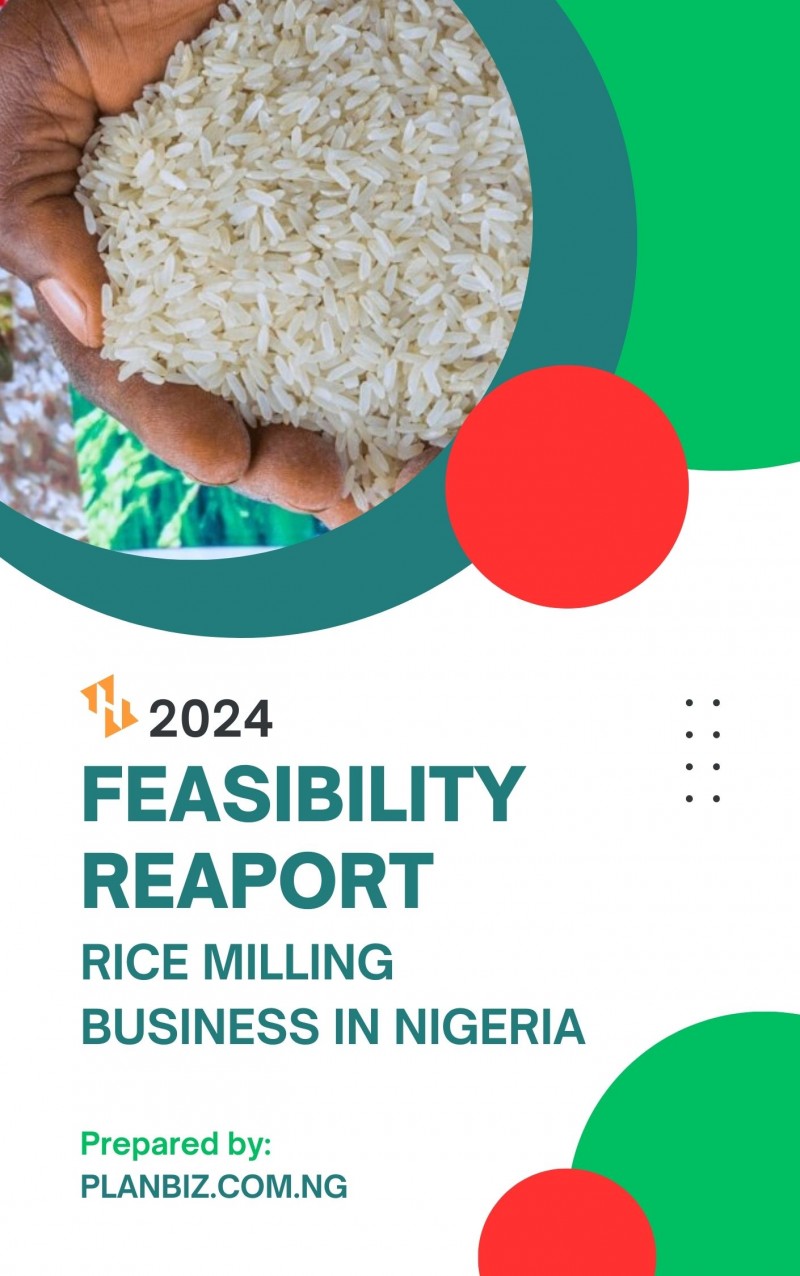 Feasibility Study Report For Rice Milling Business in Nigeria