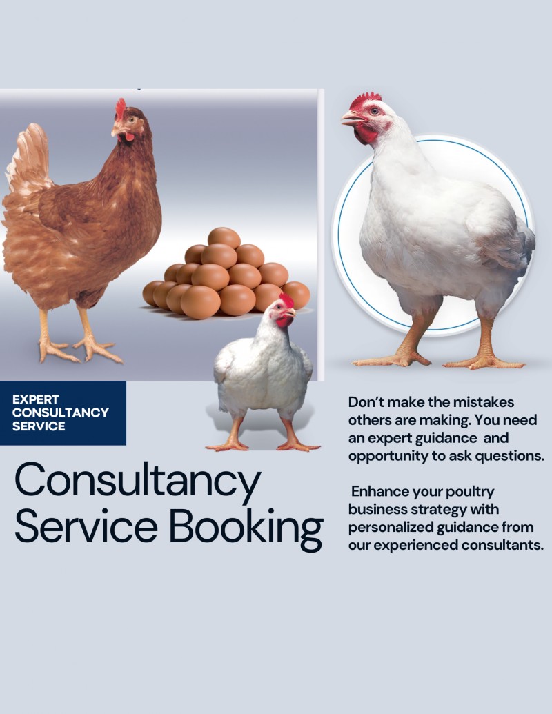 1-hour Poultry Farming Consultancy