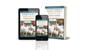 The Sucess Secrets of Starting & Growing a Broiler Farming Business pdf